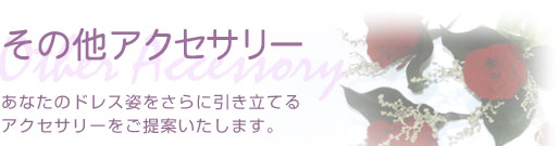 ���̑��A�N�Z�T���[