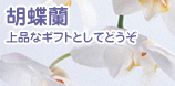 �Ӓ����@��i�ȃM�t�g�Ƃ��Ăǂ���