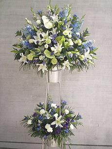 ���i�ԍ� iw20000PR