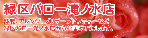 �΋�o���[��m���X �����A�A�����W�A�v���U�[�u�h�t�����[�ȂǁA�΋�o���[��m���X���炨�͂������܂��B